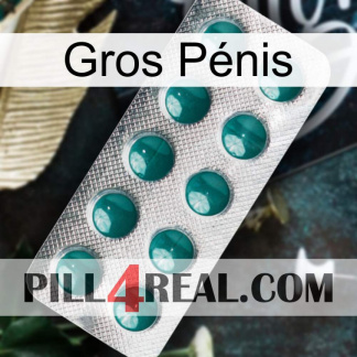 Gros Pénis dapoxetine1